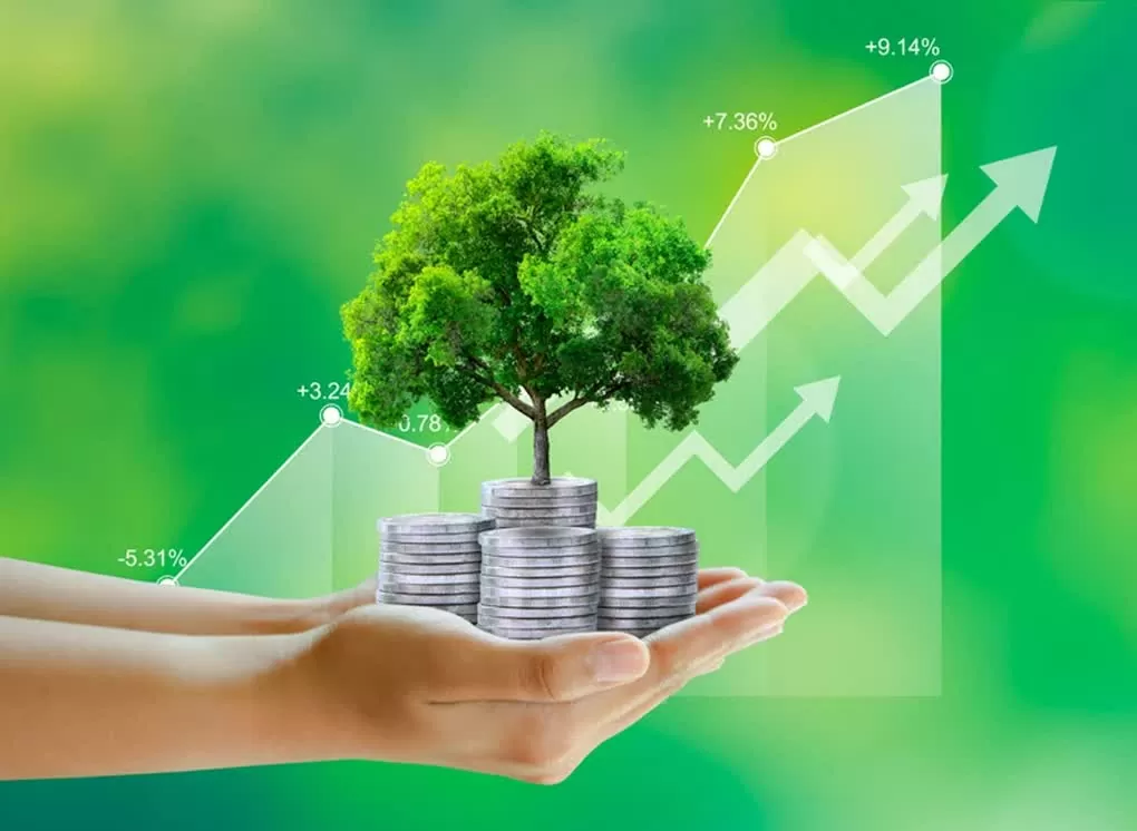 Hút vốn và khơi thông đầu tư cho cho năng lượng tái tạo