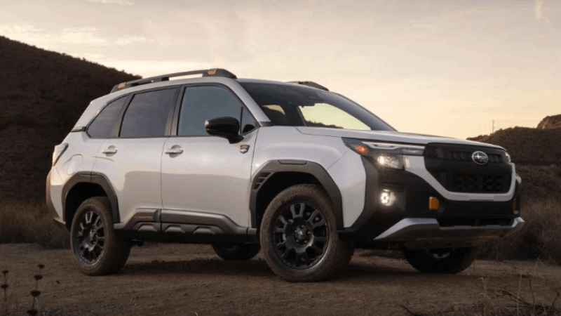 Subaru dự kiến ra mắt Forester Wilderness 2026 vào mùa Thu 2025