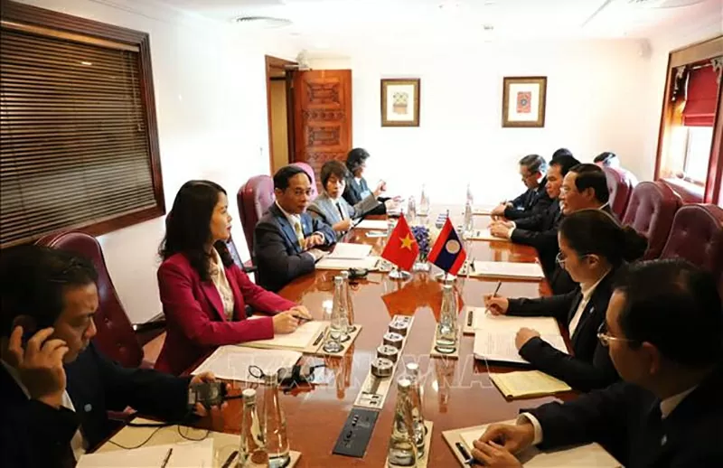 Phó Thủ tướng Chính phủ, Bộ trưởng Ngoại giao Bùi Thanh Sơn hội kiến Thủ tướng Lào Sonexay Siphandone. (Nguồn: TTXVN)