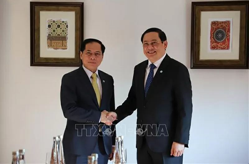 Phó Thủ tướng Chính phủ, Bộ trưởng Ngoại giao Bùi Thanh Sơn hội kiến Thủ tướng Lào Sonexay Siphandone. (Nguồn: TTXVN)
