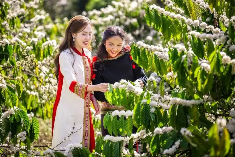‘Bước ngoặt’ cho cà phê Việt Nam xuất khẩu sang Mỹ