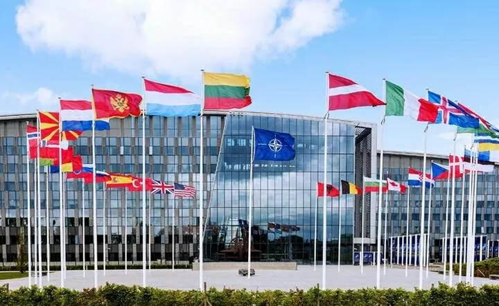 NATO đồng tình với Mỹ về việc cần công bằng hơn với Washington, vẫn bị đồng minh của ông Trump đòi 'cải tổ' NATO đồng tình với Mỹ về việc cần công bằng hơn với Washington, vẫn bị đồng minh của ông Trump đòi 'cải tổ'