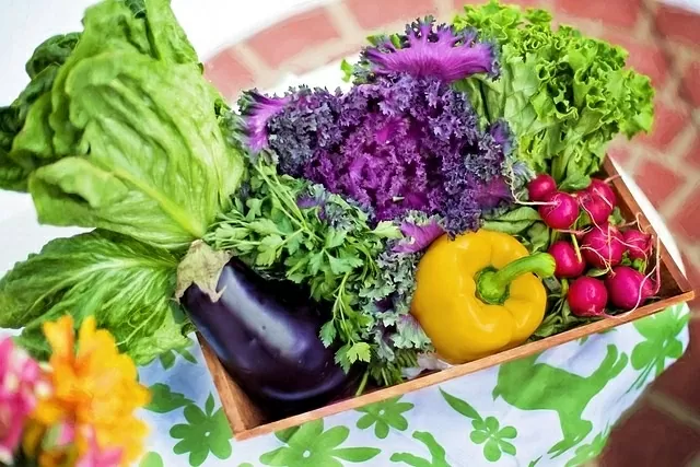 phương pháp giảm cân phương pháp giảm cân