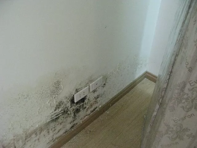 Cách đối phó với thời tiết nồm ẩm - nỗi ‘ám ảnh’ của nhiều gia đình ở miền Bắc Cách đối phó với thời tiết nồm ẩm - nỗi ‘ám ảnh’ của nhiều gia đình ở miền Bắc