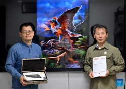 Trung Quốc: Phát hiện hóa thạch kỷ Jura hé lộ nguồn gốc các loài chim trên thế giới