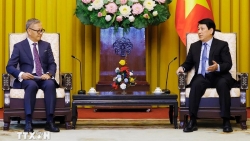 Chủ tịch nước Lương Cường tiếp Bộ trưởng Ngoại giao Lào Thongsavanh Phomvihane