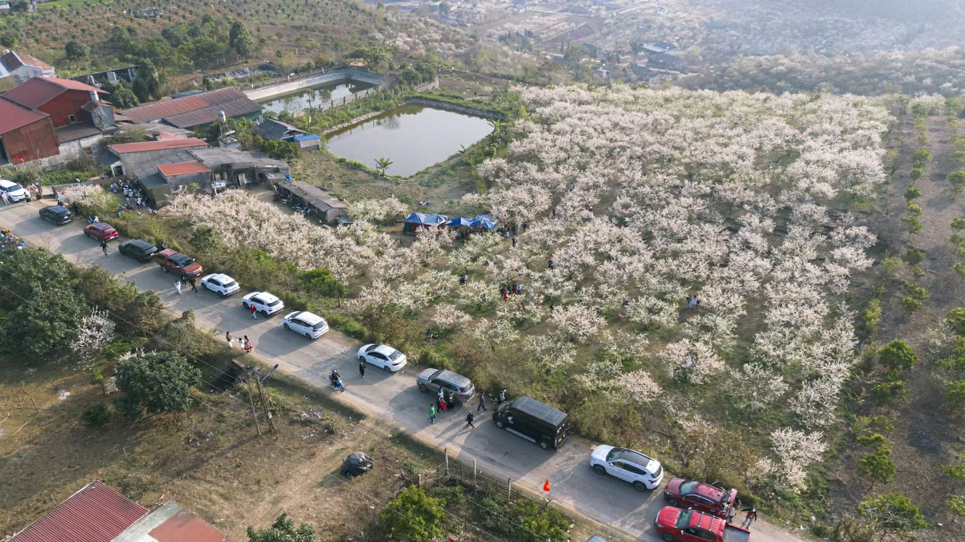 Khi mạng xã hội truyền cảm hứng cho du lịch