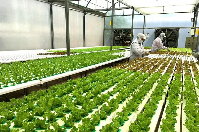 Nhiều công nghệ nông nghiệp tiên tiến được giới thiệu tại Triển lãm Agritechnica Asia Việt Nam 2025 Nhiều công nghệ nông nghiệp tiên tiến được giới thiệu tại Triển lãm Agritechnica Asia Việt Nam 2025