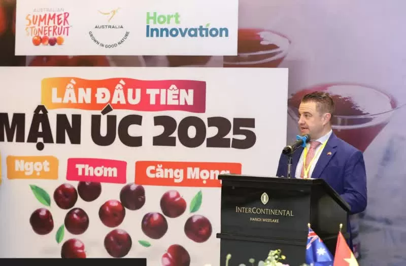 Mận Australia chính thức có mặt tại Việt Nam, hứa hẹn tạo xu hướng mới trong thị trường trái cây nhập khẩu Mận Australia chính thức có mặt tại Việt Nam, hứa hẹn tạo xu hướng mới trong thị trường trái cây nhập khẩu