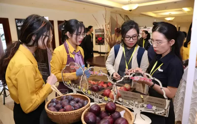 Mận Australia chính thức có mặt tại Việt Nam, hứa hẹn tạo xu hướng mới trong thị trường trái cây nhập khẩu Mận Australia chính thức có mặt tại Việt Nam, hứa hẹn tạo xu hướng mới trong thị trường trái cây nhập khẩu