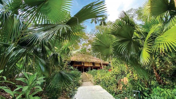 Làng ‘cơm chung nồi, tiền chung túi’