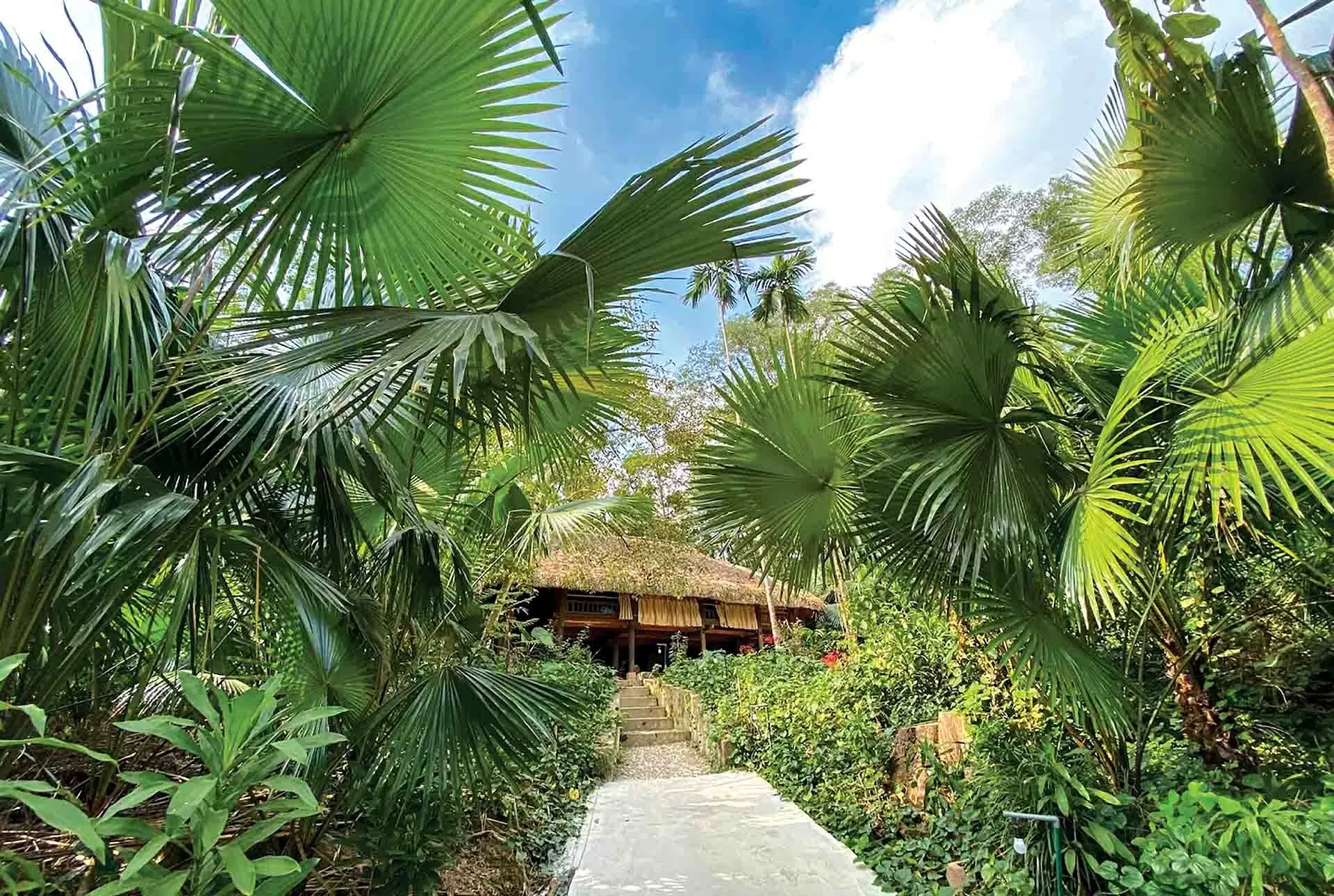 Làng ‘cơm chung nồi, tiền chung túi’ Làng ‘cơm chung nồi, tiền chung túi’