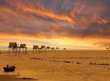 Bãi biển Cồn Vành, Thái Bình. (Nguồn: Traveloka)