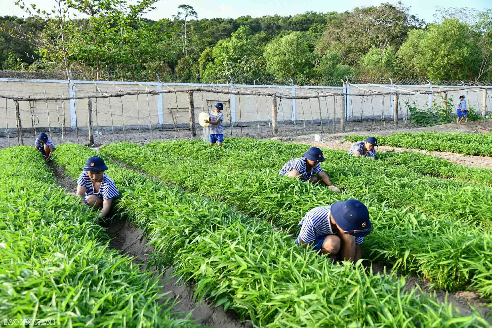 Những ngày đầu trong quân ngũ của các chiến sĩ mới
