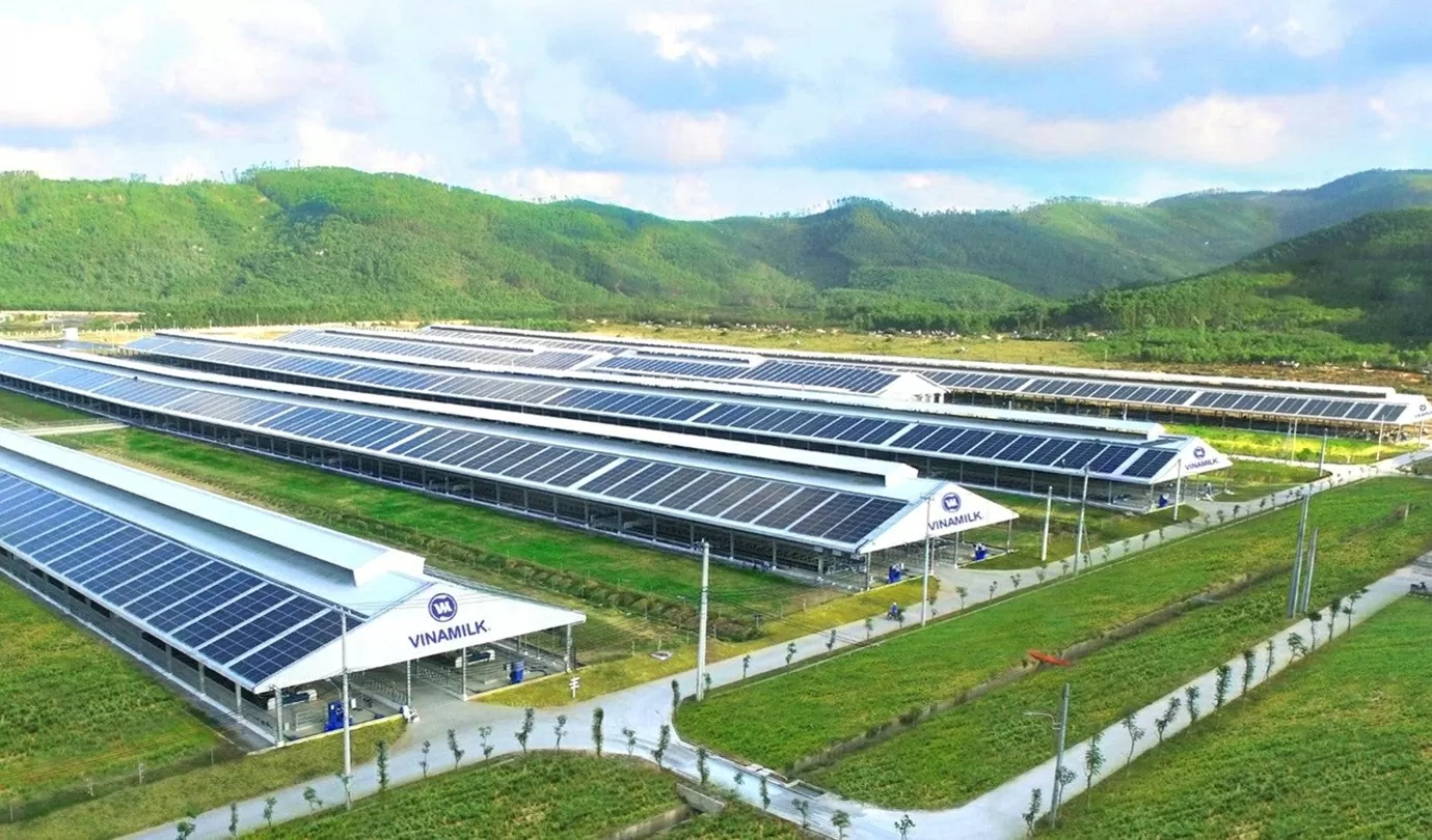 Màu xanh tươi mát trong một trang trại của Vinamilk. (Nguồn: Vinamilk) Màu xanh tươi mát trong một trang trại của Vinamilk. (Nguồn: Vinamilk)