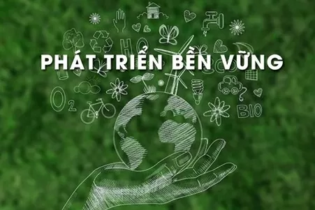 Phát triển bền vững: Câu chuyện của hai doanh nghiệp tiên phong Phát triển bền vững: Câu chuyện của hai doanh nghiệp tiên phong
