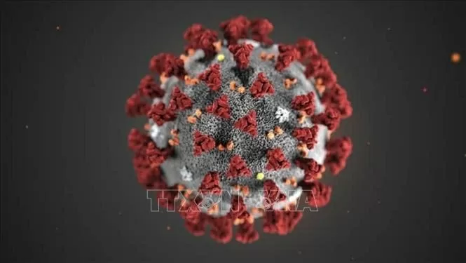 Giới khoa học trấn an về thông tin chủng virus corona mới có thể xâm nhập tế bào người Giới khoa học trấn an về thông tin chủng virus corona mới có thể xâm nhập tế bào người