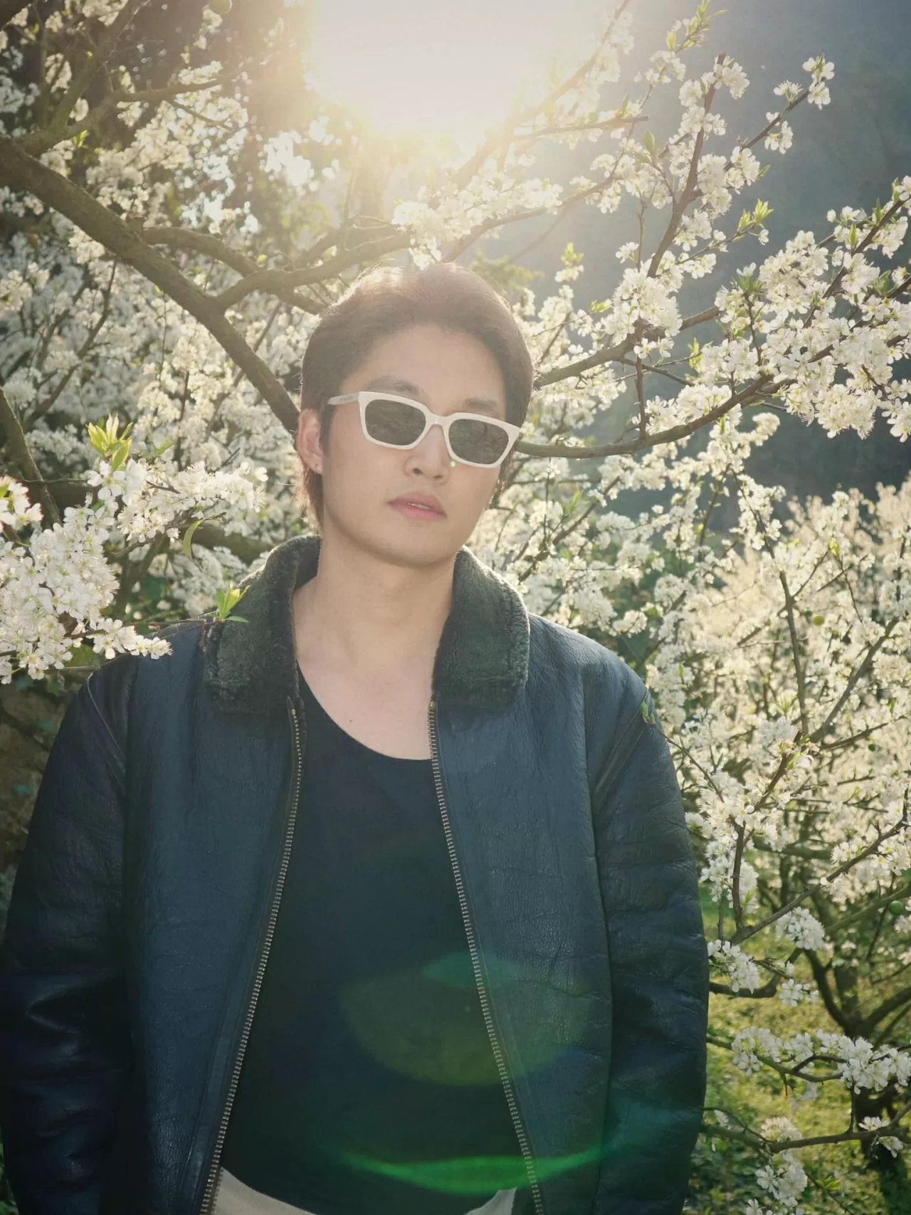 Sao Việt: Sao Việt: