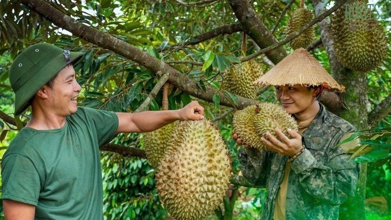 go diem nghen dua nong san viet nam thanh ban hang uy tin voi khach hang quoc te