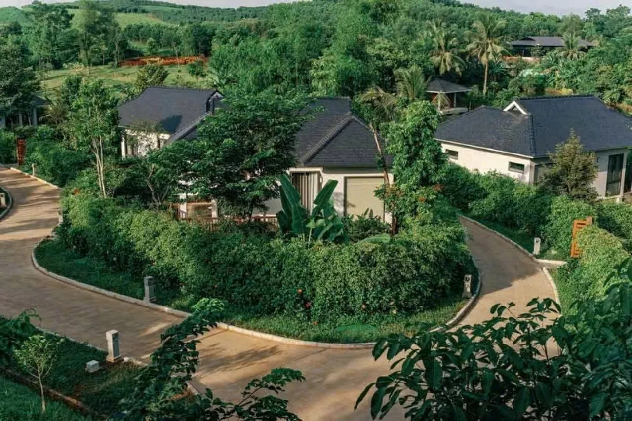 Bất tận màu xanh LAMORI.