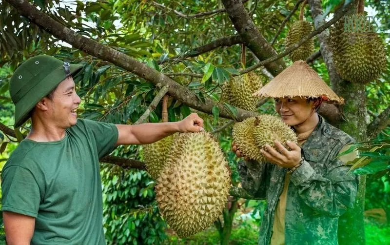 Đối mặt các yêu cầu ngày càng khắt khe từ thị trường toàn cầu, Việt Nam cần giải quyết các điểm nghẽn để trở thành ‘bạn hàng’ nông sản uy tín với người mua quốc tế. Ảnh minh họa. (Nguồn: vneconomy) Đối mặt các yêu cầu ngày càng khắt khe từ thị trường toàn cầu, Việt Nam cần giải quyết các điểm nghẽn để trở thành ‘bạn hàng’ nông sản uy tín với người mua quốc tế. Ảnh minh họa. (Nguồn: vneconomy)