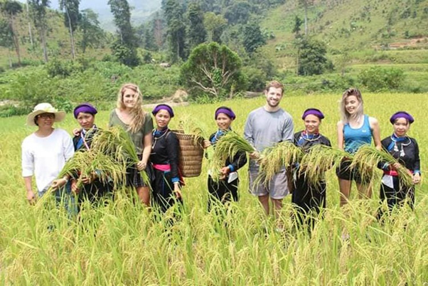 Du khách trải nghiệm làm nông nghiệp với đồng bào Tày xã Bản Liền. (Nguồn: Báo Công Thương)