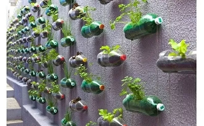 Sống 'xanh' vì môi trường sạch bền vững