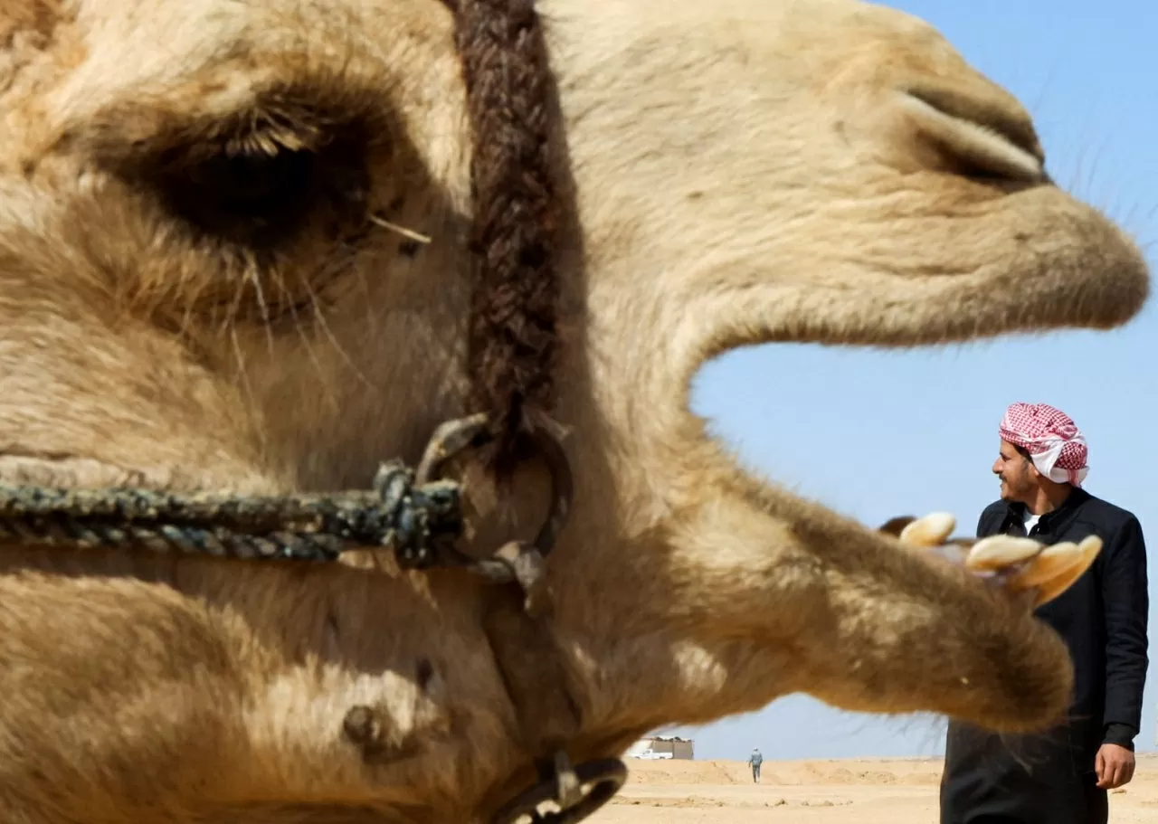 Ảnh ấn tượng: Nóng rẫy màn đấu khẩu giữa Tổng thống Mỹ-Ukraine, ông Zelensky ‘lỗ vốn’ ra về, Nga-Triều Tiên hợp tác mạnh mẽ