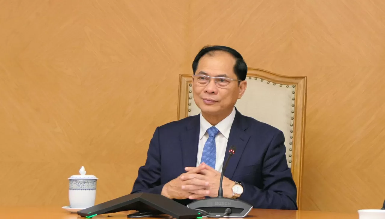 Phó Thủ tướng Chính phủ, Bộ trưởng Ngoại giao Bùi Thanh Sơn điện đàm với Bộ trưởng Ngoại giao Thổ Nhĩ Kỳ