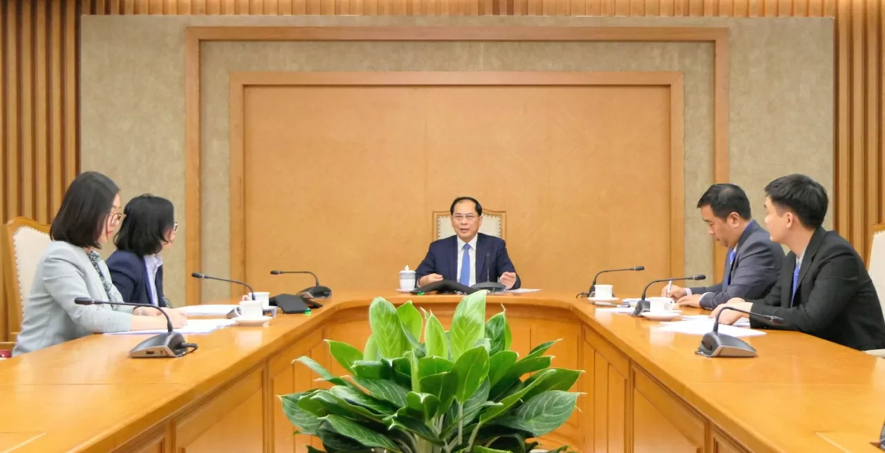 Phó Thủ tướng Chính phủ, Bộ trưởng Ngoại giao Bùi Thanh Sơn điện đàm với Bộ trưởng Ngoại giao Thổ Nhĩ Kỳ