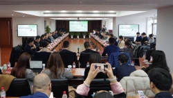 Thúc đẩy, thu hút đầu tư của Thượng Hải vào Việt Nam