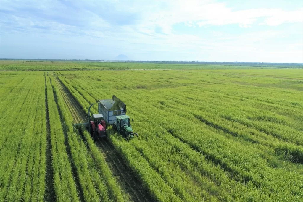 Tây Ninh là một trong những địa phương có nhiều lợi thế, tiềm năng để phát triển nông nghiệp công nghệ cao. (Nguồn: tuoitrethudo) Tây Ninh là một trong những địa phương có nhiều lợi thế, tiềm năng để phát triển nông nghiệp công nghệ cao. (Nguồn: tuoitrethudo)