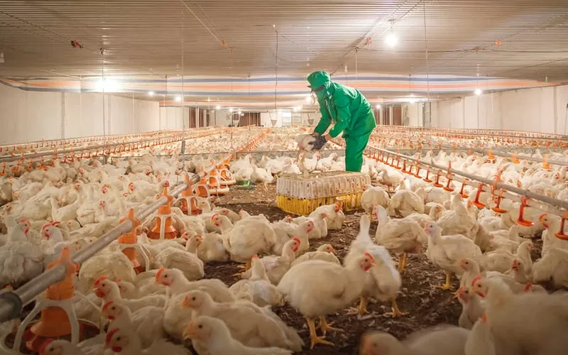 Các dự án nông nghiệp ứng dụng công nghệ cao không chỉ thể hiện tầm nhìn chiến lược của nhà đầu tư mà còn phù hợp với định hướng phát triển kinh tế của tỉnh Tây Ninh. (Nguồn: danviet.vn) Các dự án nông nghiệp ứng dụng công nghệ cao không chỉ thể hiện tầm nhìn chiến lược của nhà đầu tư mà còn phù hợp với định hướng phát triển kinh tế của tỉnh Tây Ninh. (Nguồn: danviet.vn)