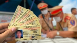 Thủ tục đổi giấy phép lái xe mới nhất từ ngày 1/3/2025