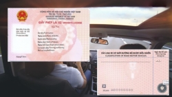 Từ 1/3/2025, không cấp lại giấy phép lái xe trong trường hợp nào?