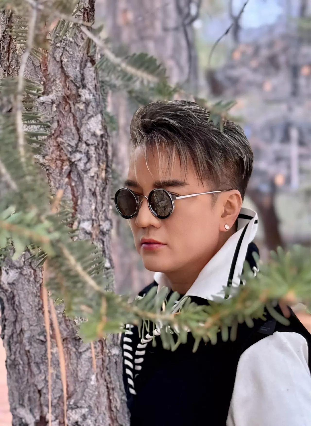 Sao Việt Sao Việt