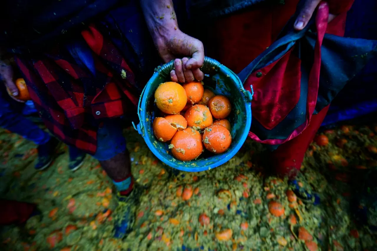 Lễ hội ném cam náo nhiệt ở Italy Lễ hội ném cam náo nhiệt ở Italy