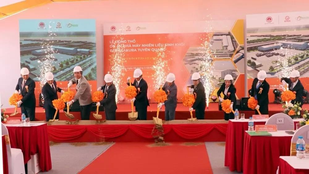 Tạo môi trường chính sách phù hợp để phát huy hiệu quả tiềm năng năng lượng sinh khối cho sản xuất bền vững ở Việt Nam Tạo môi trường chính sách phù hợp để phát huy hiệu quả tiềm năng năng lượng sinh khối cho sản xuất bền vững ở Việt Nam