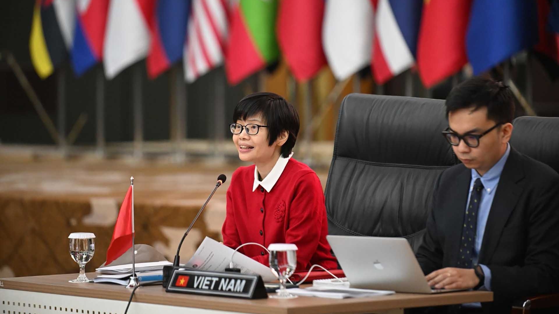 Việt Nam chủ trì cuộc họp lần thứ 75 của Nhóm đặc trách Sáng kiến liên kết ASEAN