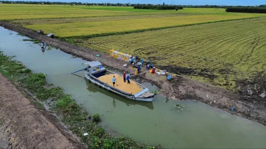 Đến cuối tháng 2/2025, tỉnh Long An mới chỉ giải ngân hơn 761 tỷ đồng, đạt 8,74% kế hoạch. (Nguồn: Báo Pháp luật TP. Hồ Chí Minh) Đến cuối tháng 2/2025, tỉnh Long An mới chỉ giải ngân hơn 761 tỷ đồng, đạt 8,74% kế hoạch. (Nguồn: Báo Pháp luật TP. Hồ Chí Minh)