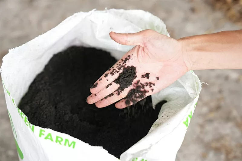 Nhiều sản phẩm hữu ích từ rơm rạ là sáng kiến của Dự án GIC góp phần bảo vệ môi trường và phát triển bền vững.