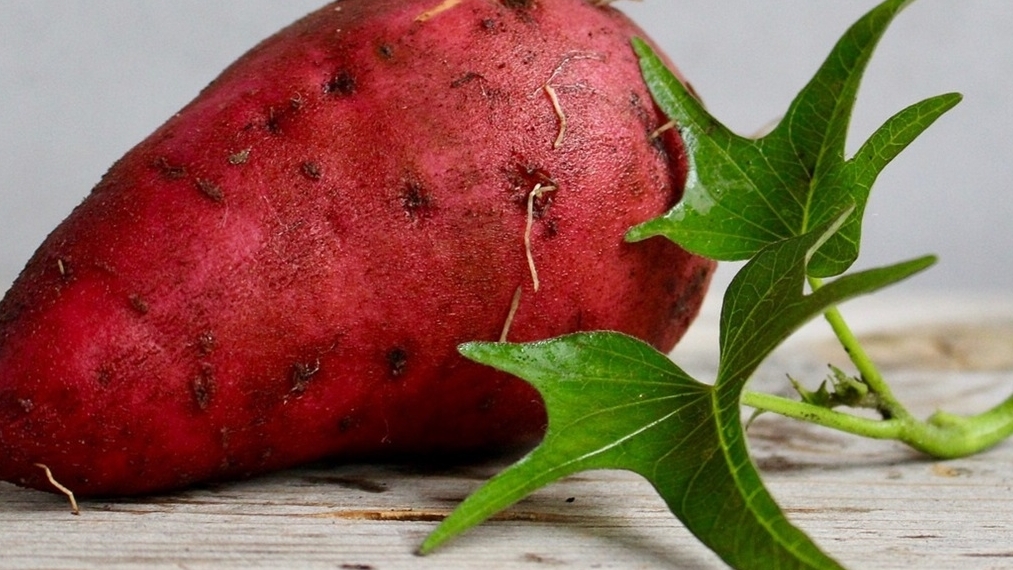 Lưu ý những thực phẩm kết hợp cùng khoai lang