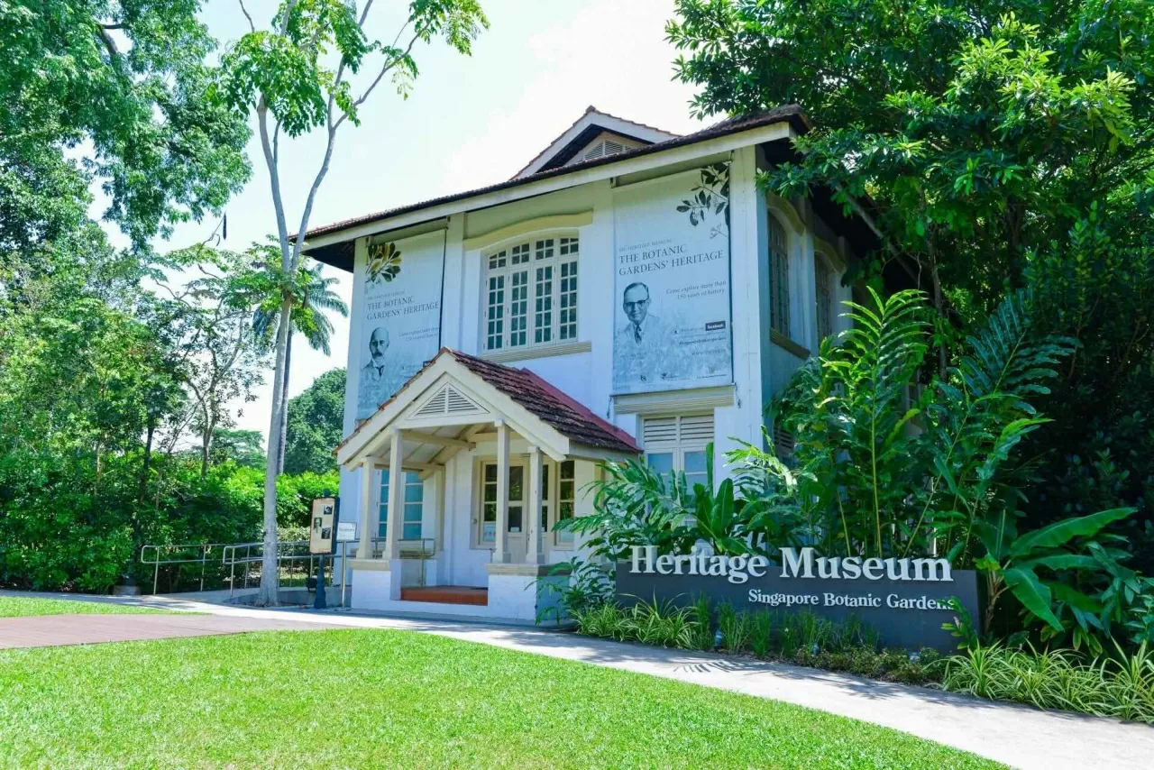 Vườn bách thảo Singapore: Lá phổi xanh của hơn 100 năm tuổi của đảo quốc sư tử