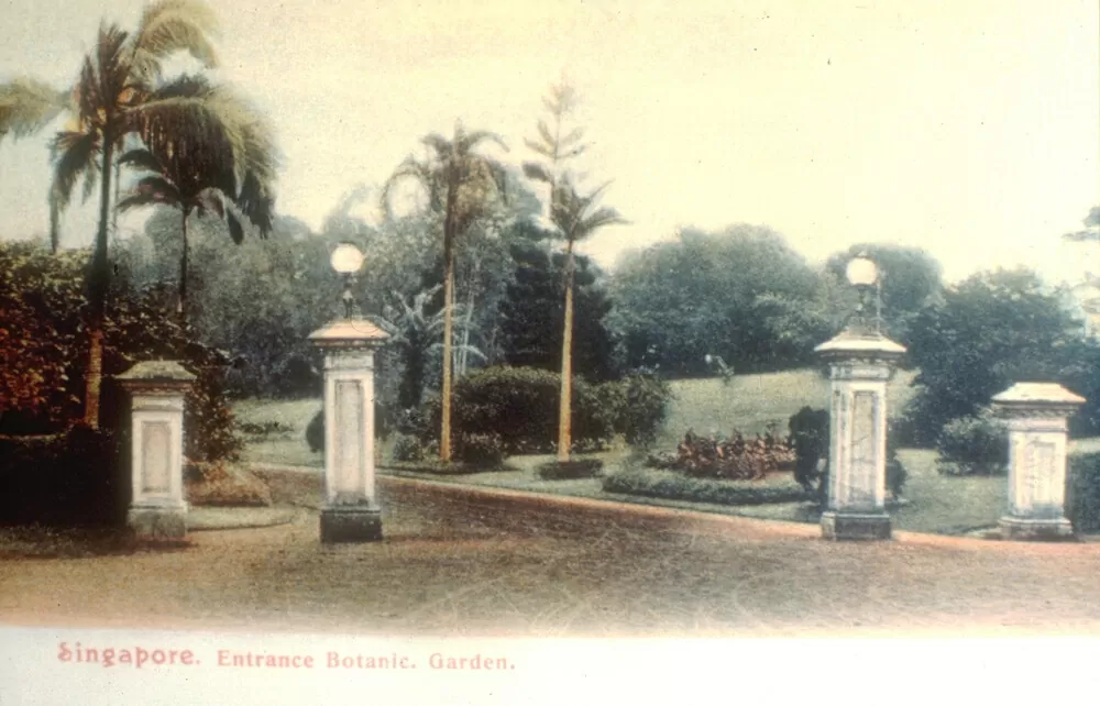 Vườn bách thảo Singapore: Lá phổi xanh của hơn 100 năm tuổi của đảo quốc sư tử