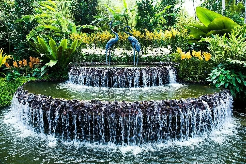 Vườn bách thảo Singapore: Lá phổi xanh của hơn 100 năm tuổi của đảo quốc sư tử