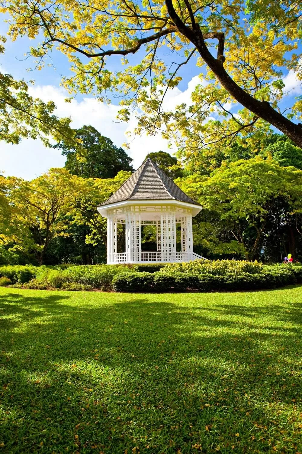 Vườn bách thảo Singapore: Lá phổi xanh của hơn 100 năm tuổi của đảo quốc sư tử