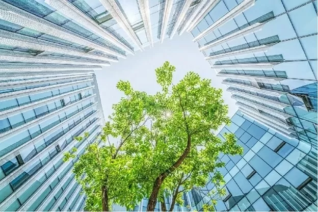 Doanh nghiệp sẽ thu được nhiều lợi ich dài hạn từ việc thực hành ESG. (Nguồn: IFC) Doanh nghiệp sẽ thu được nhiều lợi ich dài hạn từ việc thực hành ESG. (Nguồn: IFC)