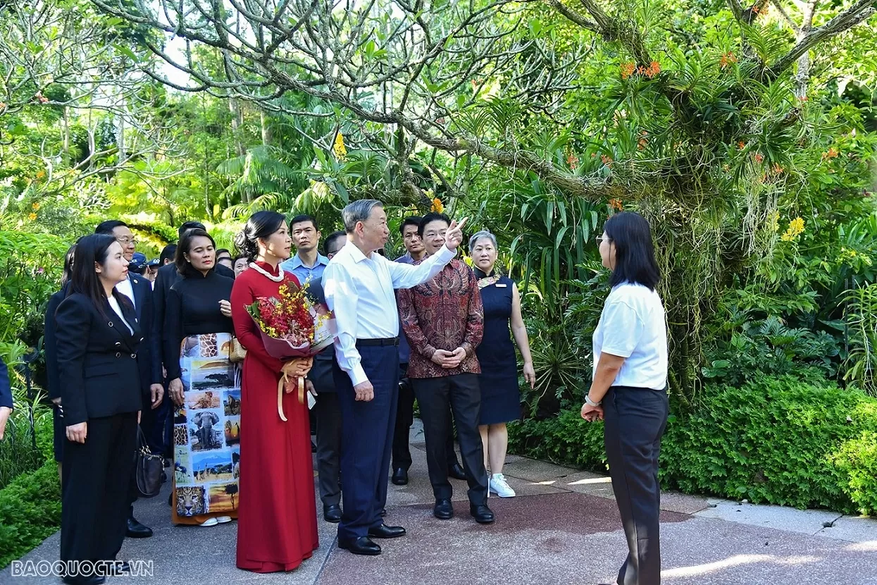 Lễ đặt tên cho hoa phong lan - nghi lễ ngoại giao đặc biệt Singapore dành cho Tổng Bí thư Tô Lâm và Phu nhân Lễ đặt tên cho hoa phong lan nghi lễ ngoại giao đặc biệt Singapore dành cho Tổng Bí thư Tô Lâm và Phu nhân