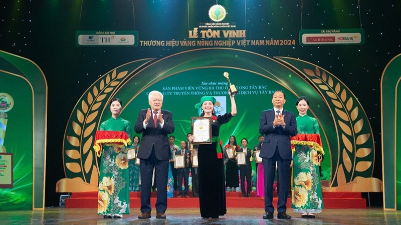 Từ núi rừng Tây Bắc đến nền tảng số: Cô gái Tây Bắc biến sản vật quê hương thành thương hiệu