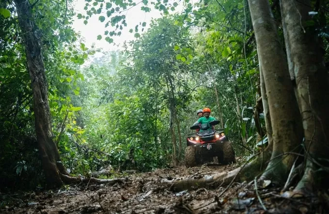 Trồng Một tỷ cây xanh - ích nước, lợi nhà, đẹp quốc gia Trồng Một tỷ cây xanh - ích nước, lợi nhà, đẹp quốc gia